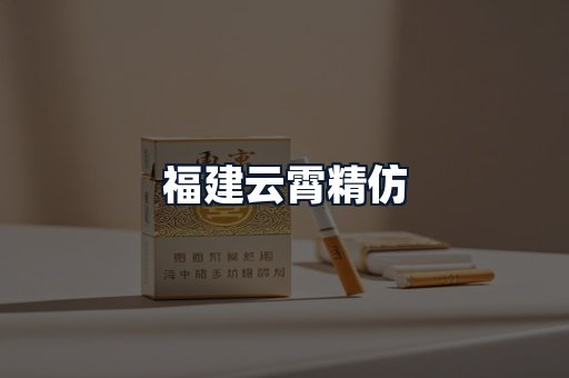 福建云霄精仿